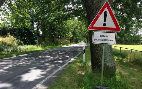 PM Landkreis Stendal_Eichenprozessionsspinner pm eichenprozessionsspinner