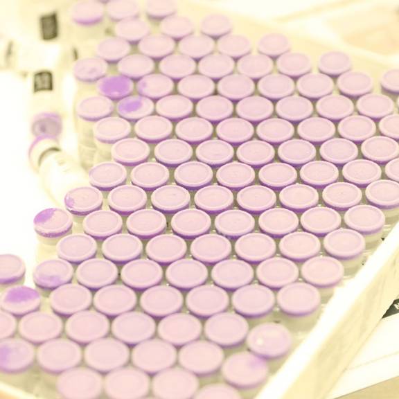 Pressemitteilung Landkreis