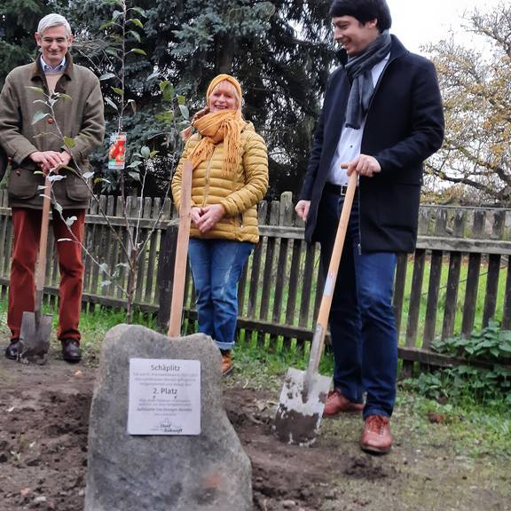 Baumpflanzen Schäplitz