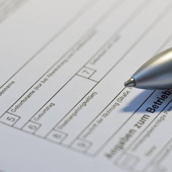 Bürgergeld bürgergeld