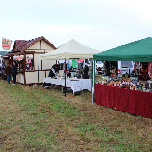 Steinfelder Bauernmarkt 6