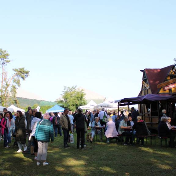 Steinfelder Bauernmarkt 9