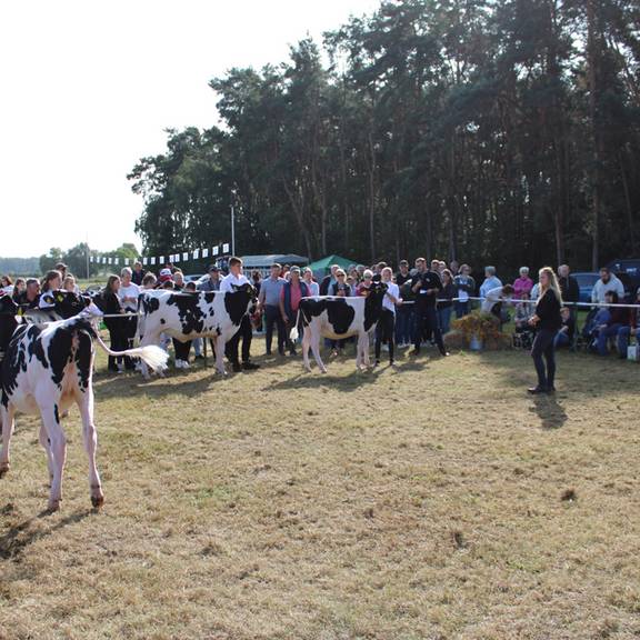 Steinfelder Bauernmarkt 10