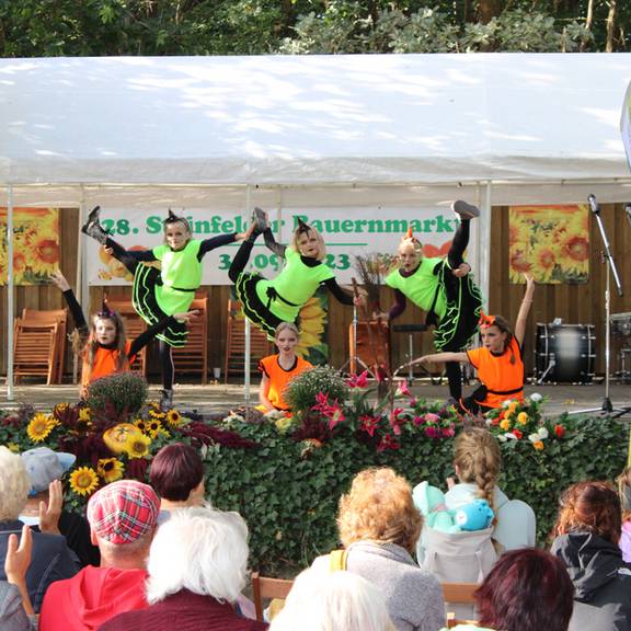 Steinfelder Bauernmarkt 13