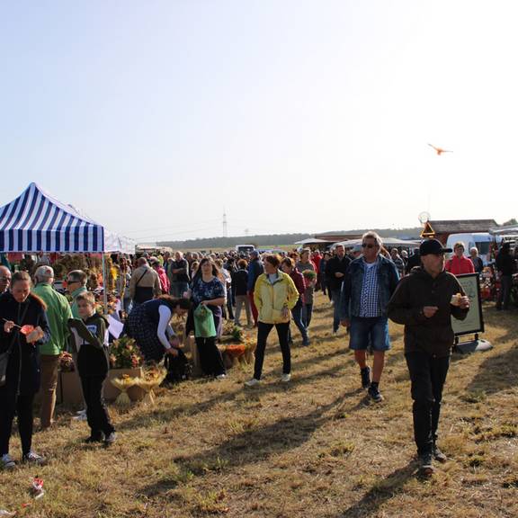 Steinfelder Bauernmarkt 16