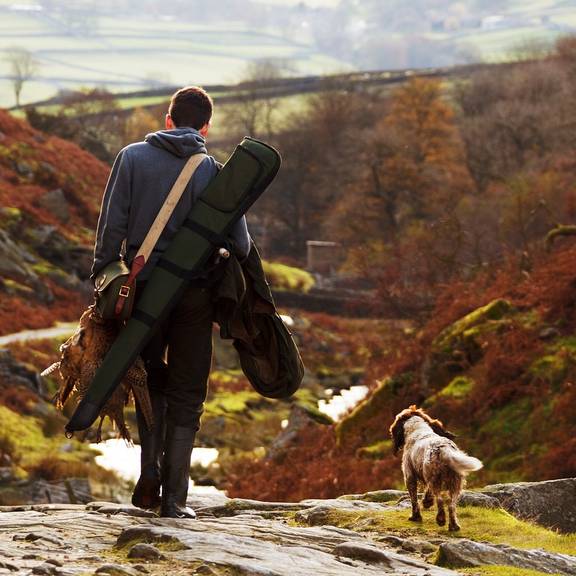 animal 17760 1280 publicdomainpictures