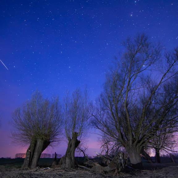 pressebild ii sternschnuppe perseiden c helmut schnieder