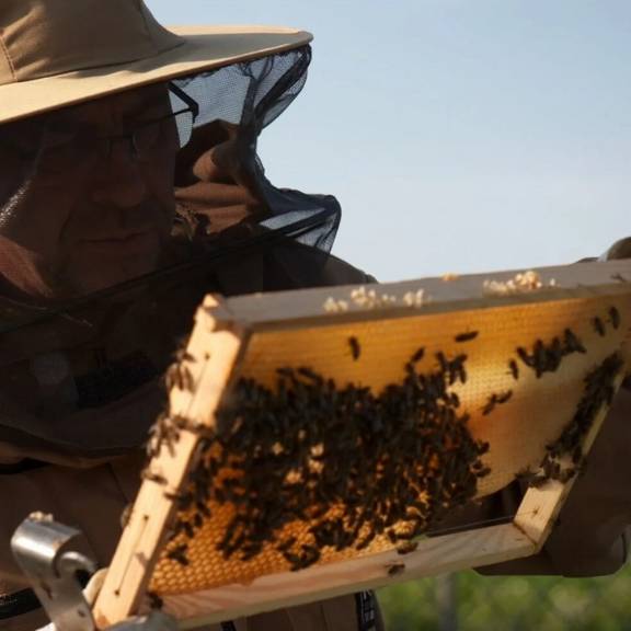 Schinner Honigschnuten Schinner Honigschnuten 2