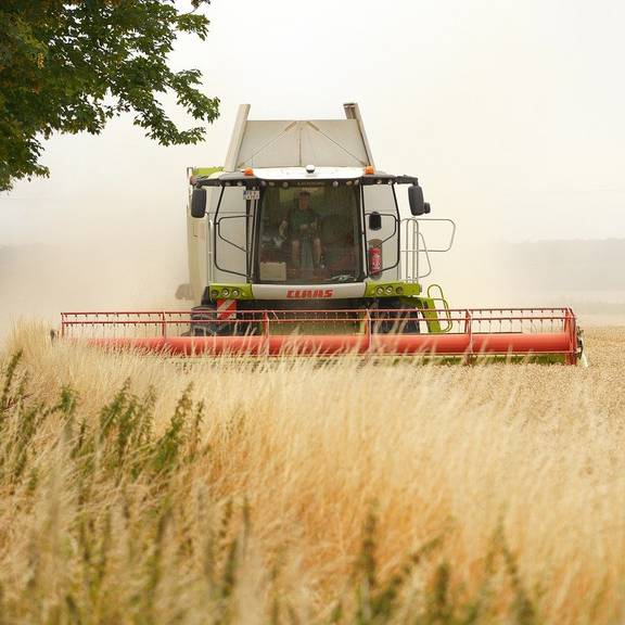 adventskalender landwirtschaft