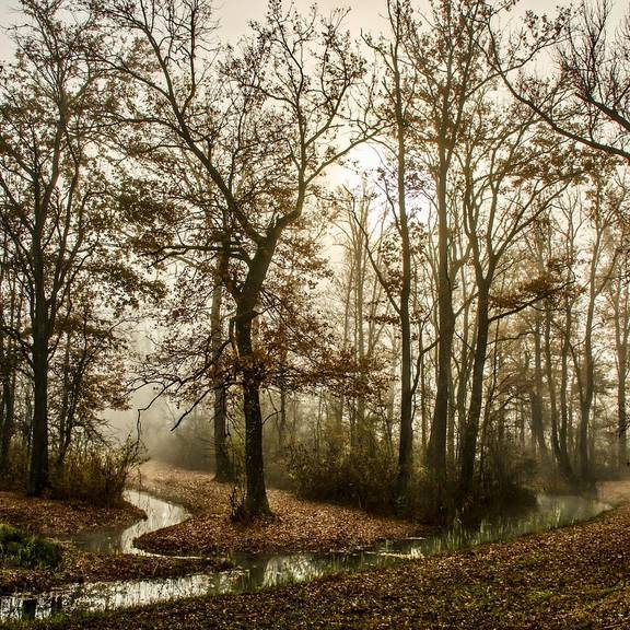 gew sserschauen uchte