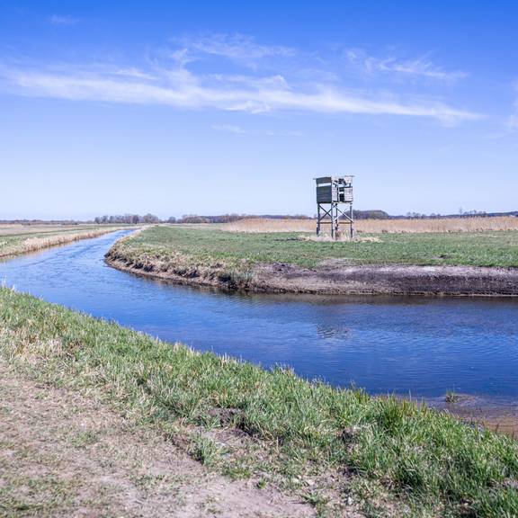 2026 052 Pressefoto 3 Foto Stefan Rühling
