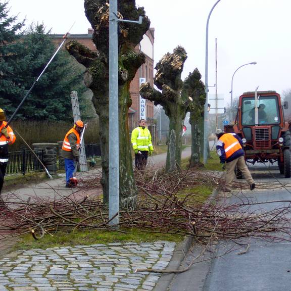 Gemeindearbeiter führten Schneidarbeiten in verschiedenen Ortschaften der Einheitsgemeinde Stadt Bismark (Altmark) durch