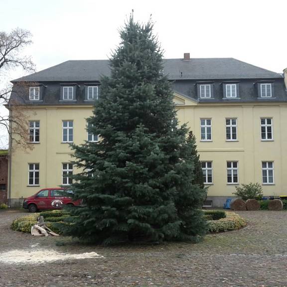 25. Klädener Adventsmarkt