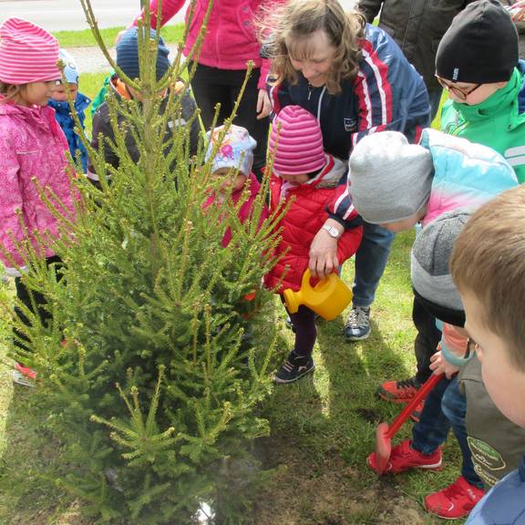 Tag des Baumes - Baumpflanzung in Bismark