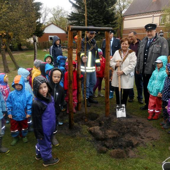 Einheitsgemeindebürgermeisterin Verena Schlüsselburg pflanzte gemeinsam mit Ortsbürgermeisterin Ines Pagels und den Ortswehrleitern Uwe Becker, Wartenberg, und Frank Grenda, Berkau, den Baum des Jahres 2015 und setzte damit eine schöne Tradition in d